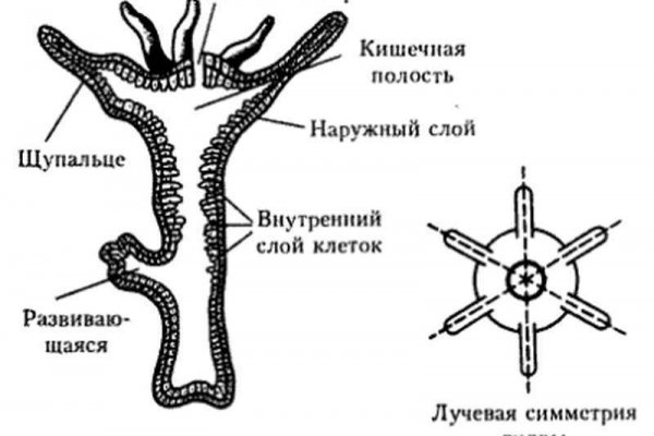 Как зарегаться в кракен