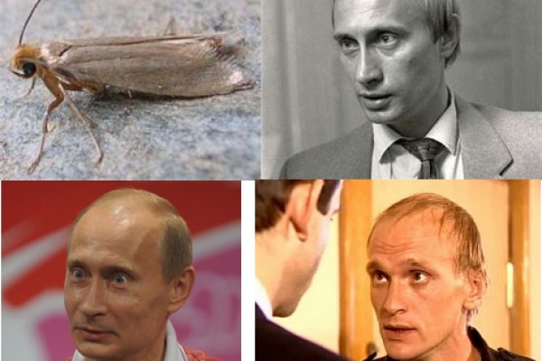 Kraken 15at сайт krakens15 at